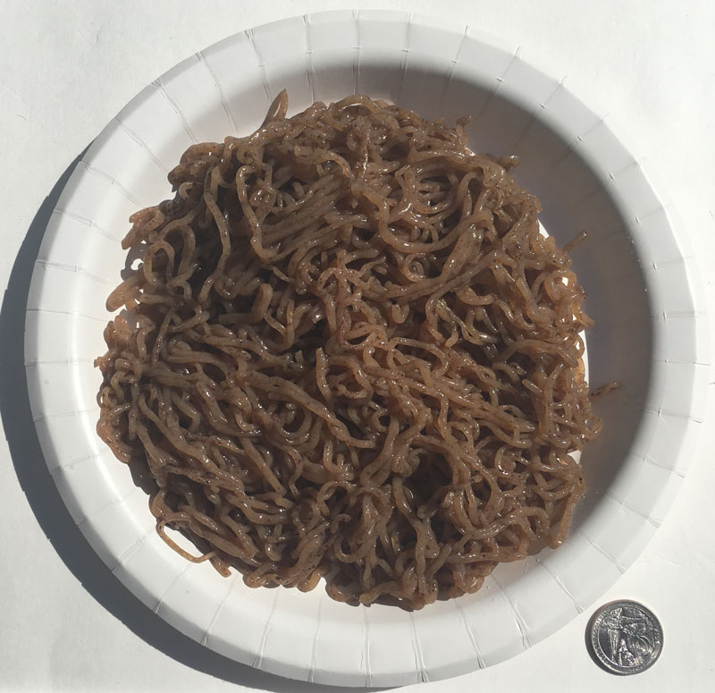 Konjac Oat Cranberry Fiber Pasta Angel Hair