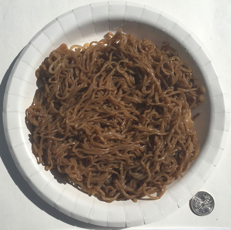 Konjac Oat Raspberry Fiber Pasta Angel Hair