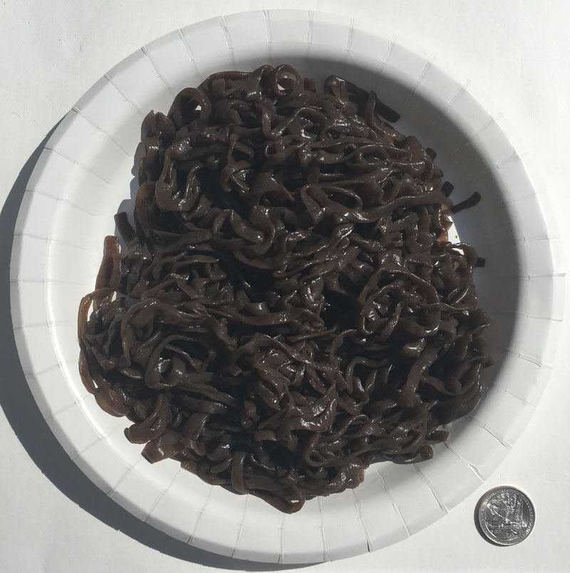 Konjac Oat Blueberry Fiber Pasta Linguine