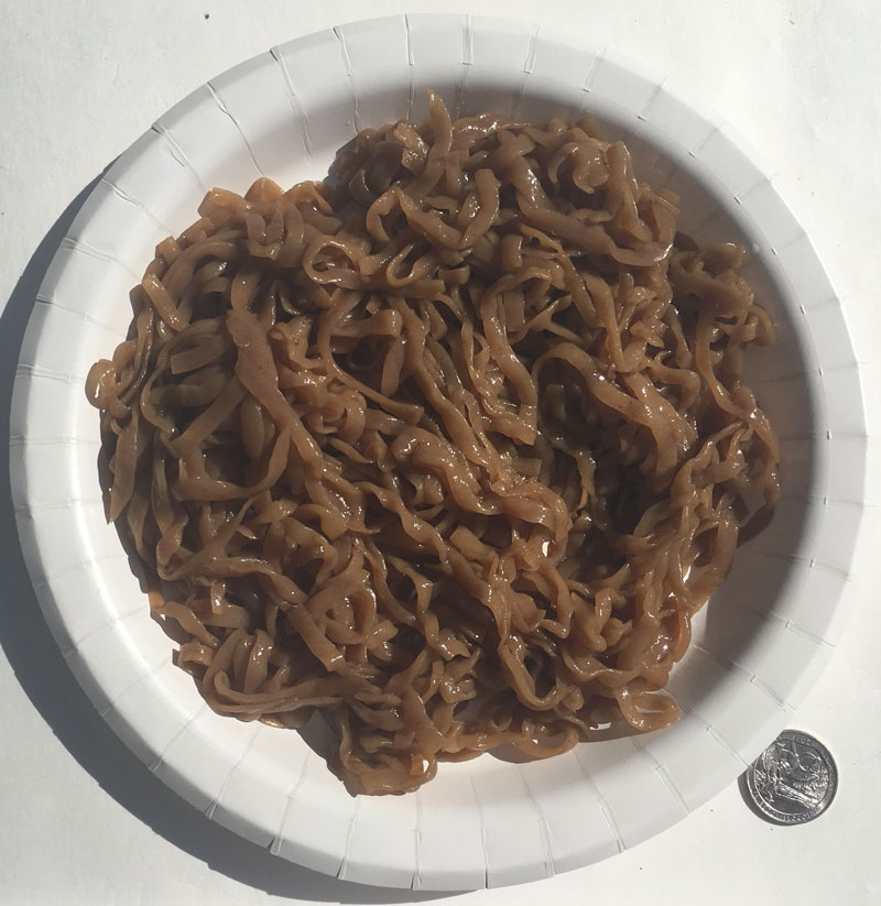 Konjac Oat Raspberry Fiber Pasta Linguine