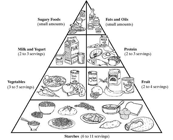 Illustration of the food pyramid.