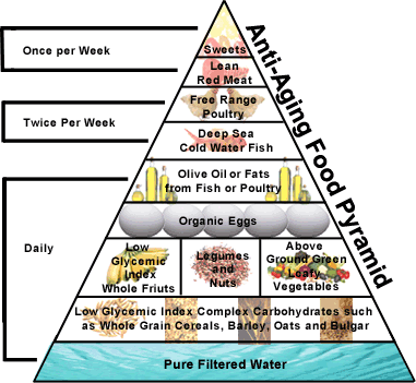 Healthy Food Pyramid For Adults. Food Pyramid.